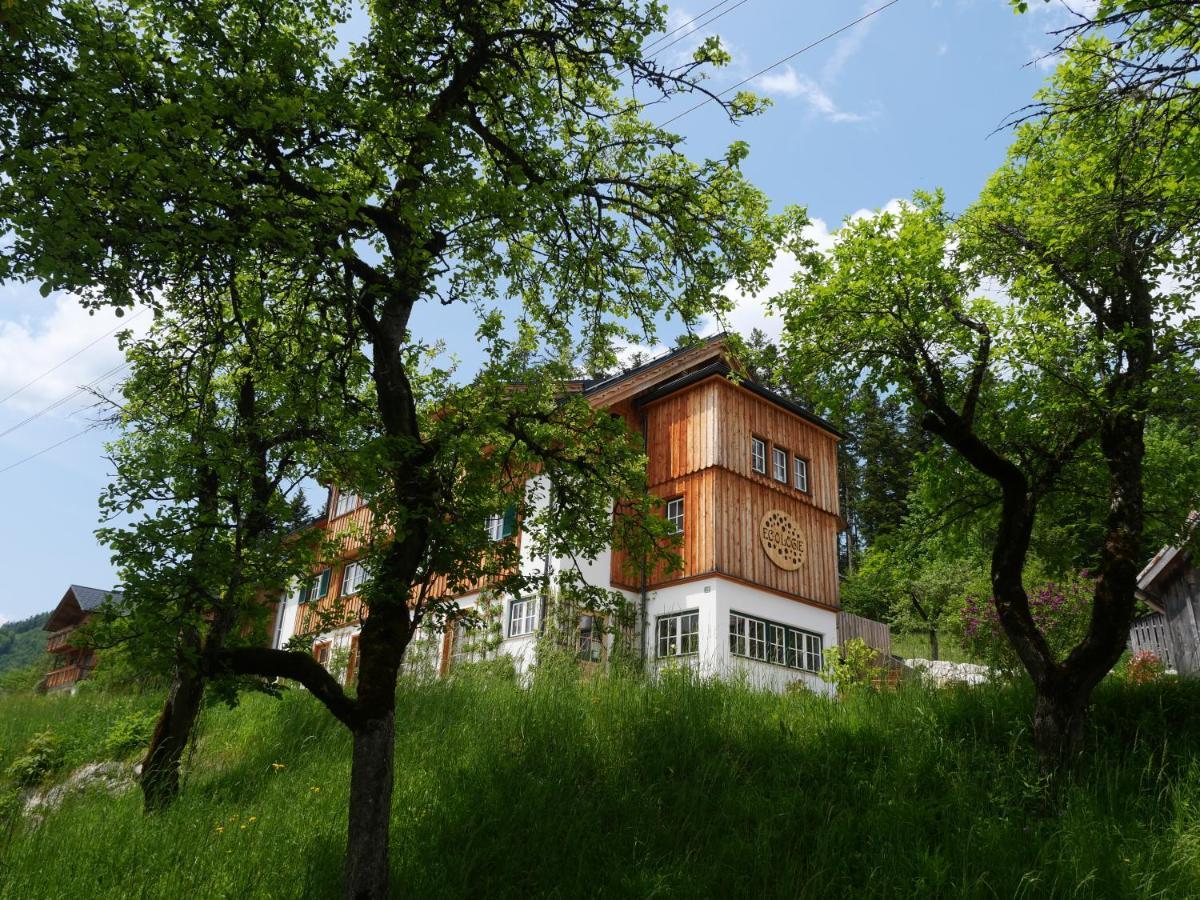 Ecologie Grundlsee Kültér fotó